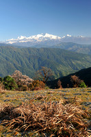 Singalila Hills Trek