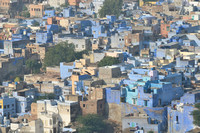 Jodhapur - 'Blue City'